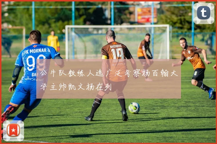 公牛队教练人选广泛考察杨百翰大学主帅凯文杨在列